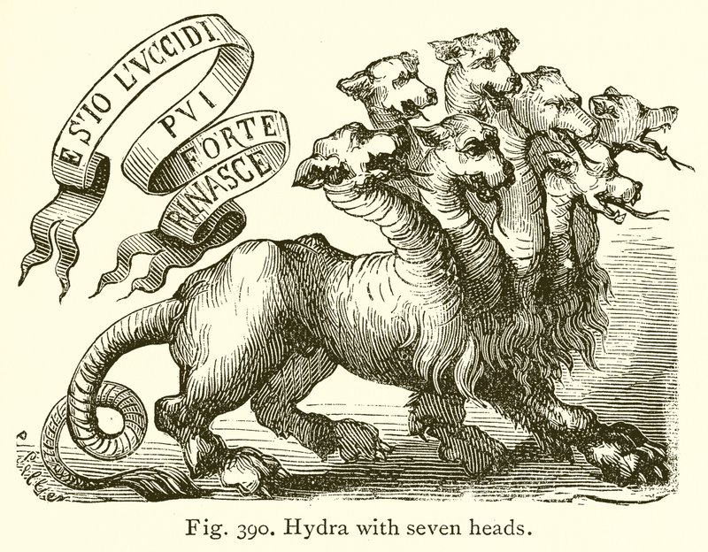 Yedi Başlı Hydra by English School