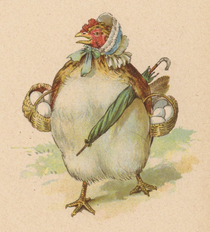Küçük bir tavuğum vardı, şimdiye kadar gördüğüm en güzel (chromolitho) by English School