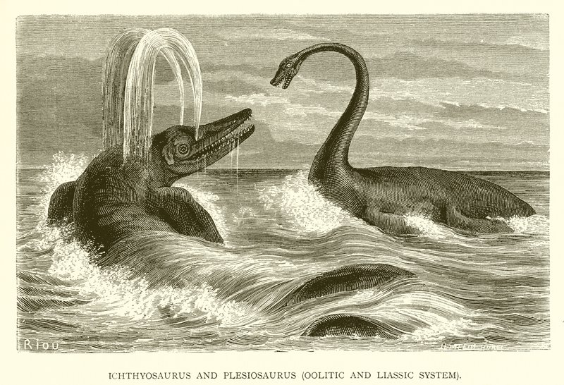 Ichthyosaurus ve Plesiosaurus, Oolitik ve Lias Sistemi by English School