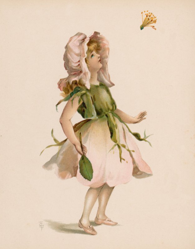 Çiçeklerin Dili (chromolitho) için İllüstrasyon by English School