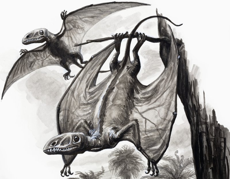 Dinozorların Günlerinde: Yükseklerden Avcılar by English School