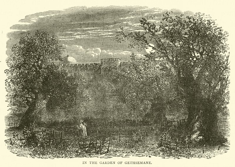 Getsemani Bahçesinde by English School