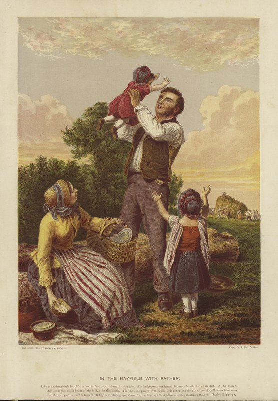 Babamla Hayfield