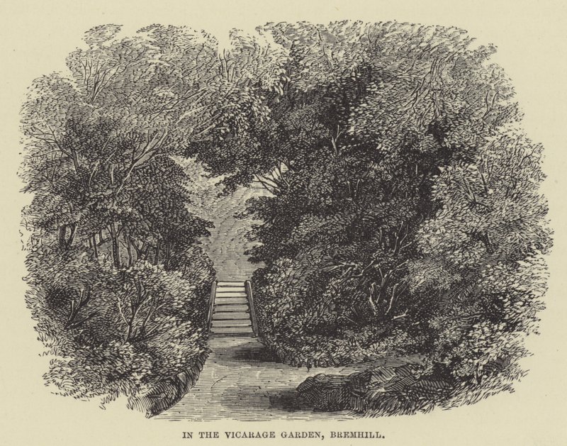 Vicarage Garden
