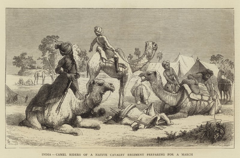 Hindistan, Yerli Süvari Alayı