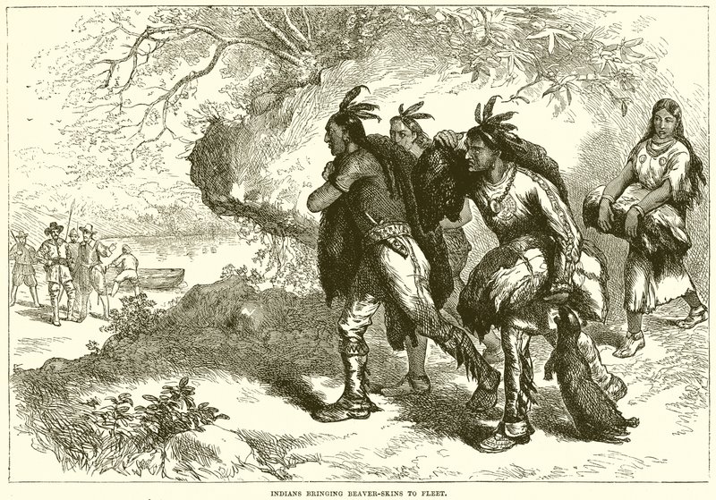 Kızılderililer Beaver-Skins