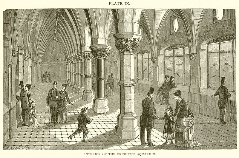 Brighton Akvaryumu'nun içi by English School