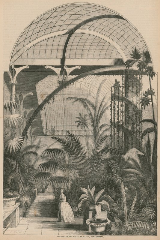 Great Palmarum