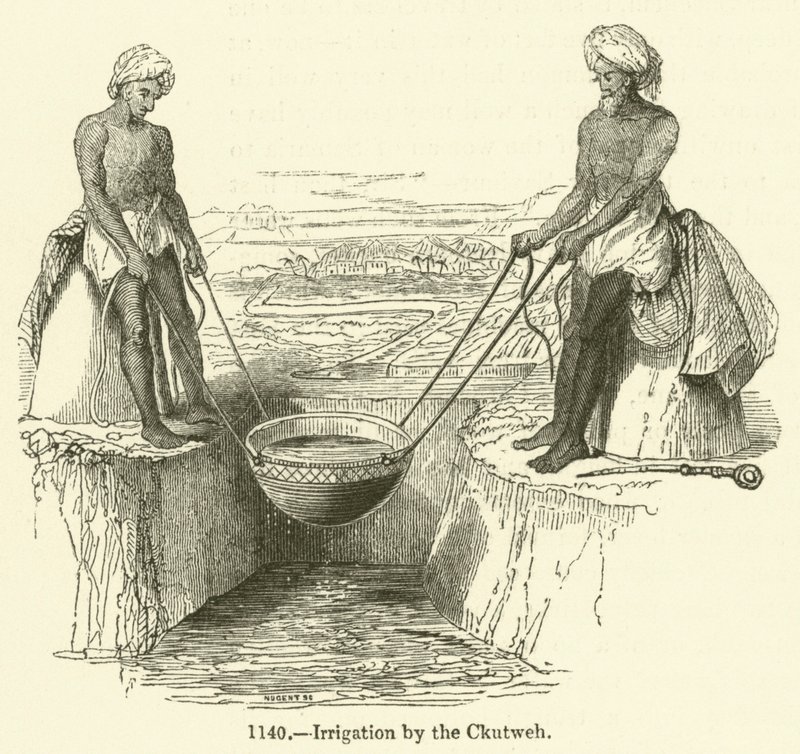 Ckutweh tarafından Sulama (gravür) by English School
