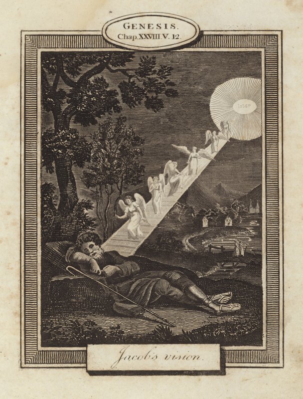 Jacobs vizyonu by English School