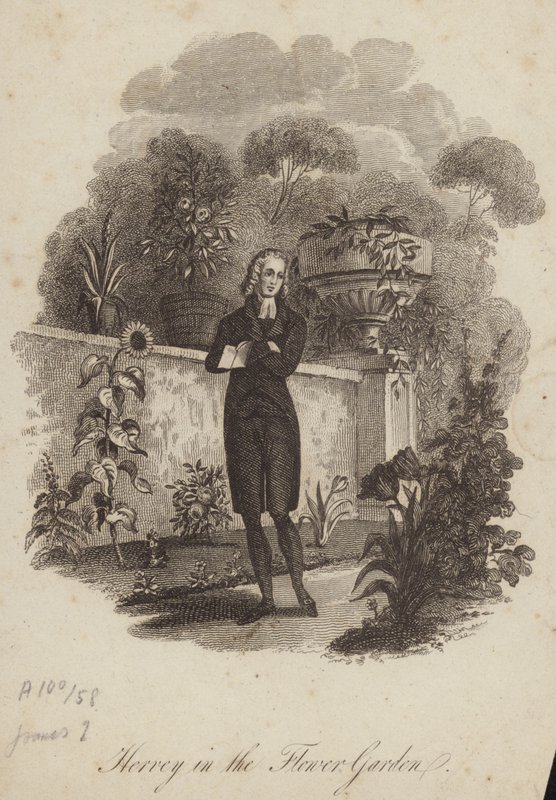 James Hervey çiçek bahçesinde by English School