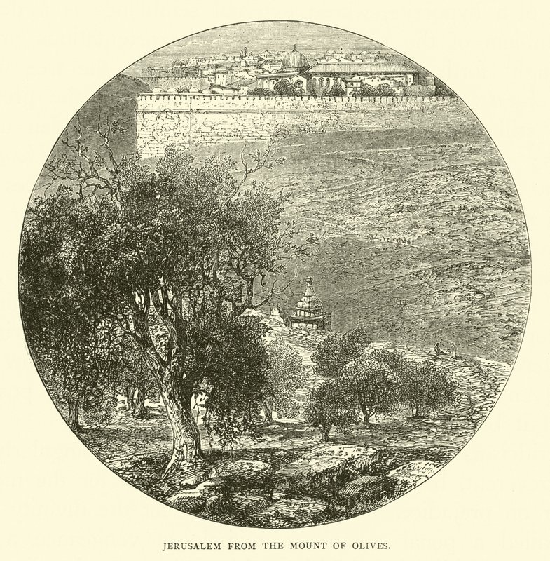 Zeytin Dağı