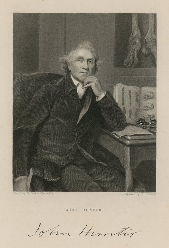 John Avcısı by English School
