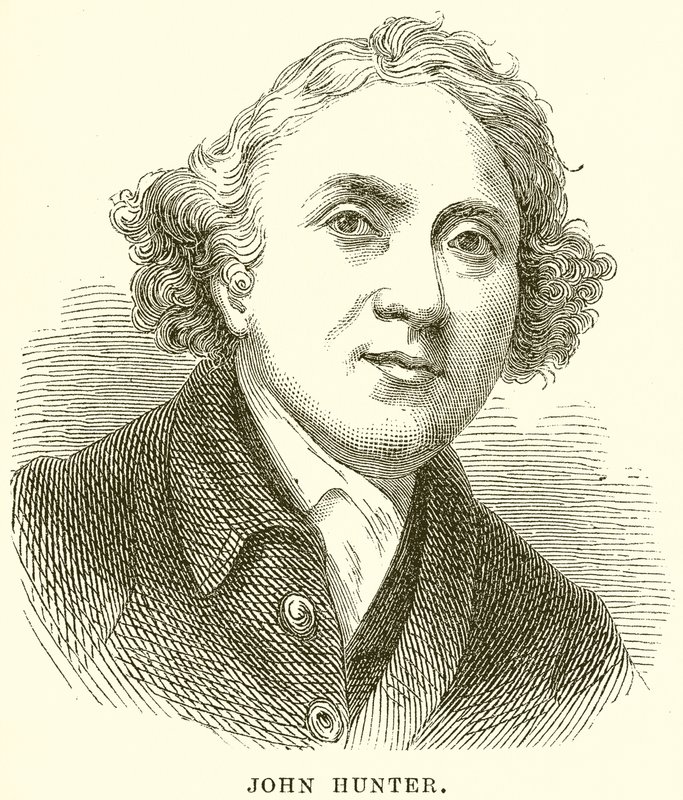 John Avcısı by English School