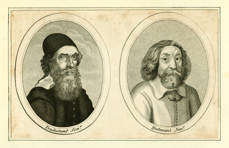 John Tradescant, Kıdemli ve Genç by English School
