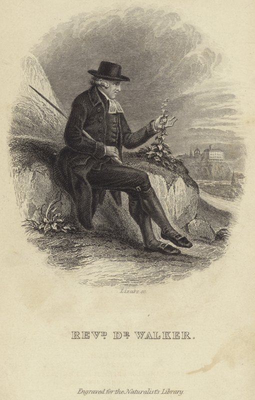 John Walker by English School