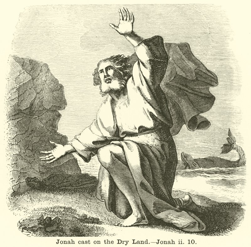 Jonah Dry Land