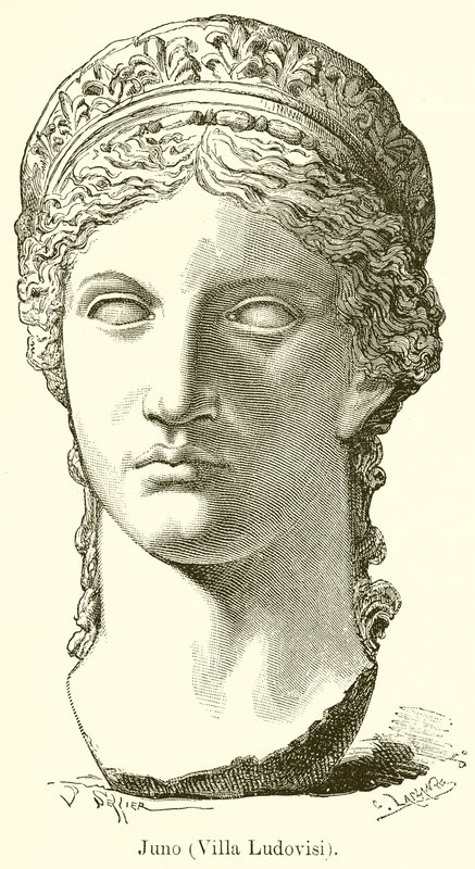 Juno (Villa Ludovisi) by English School