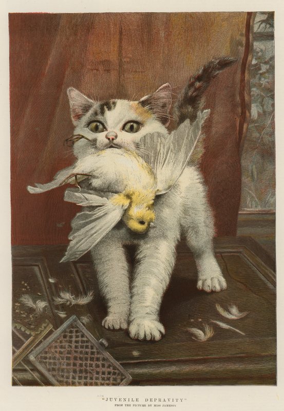 Juvenil Ahlaksızlık (chromolitho) by English School