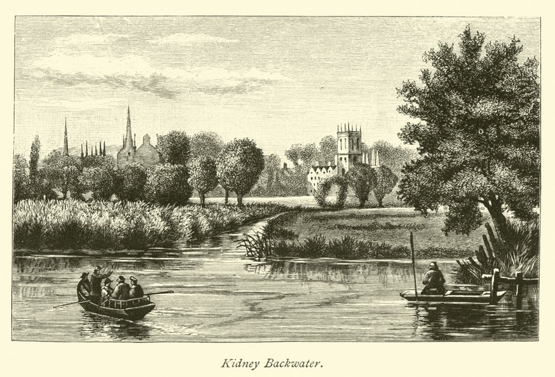 böbrek durgun by English School