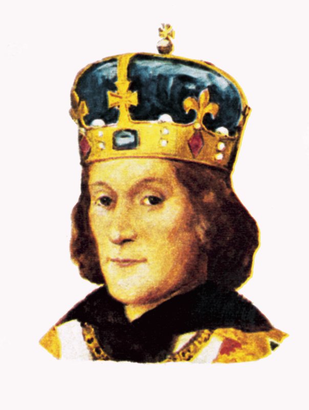 Kral Henry VII by English School