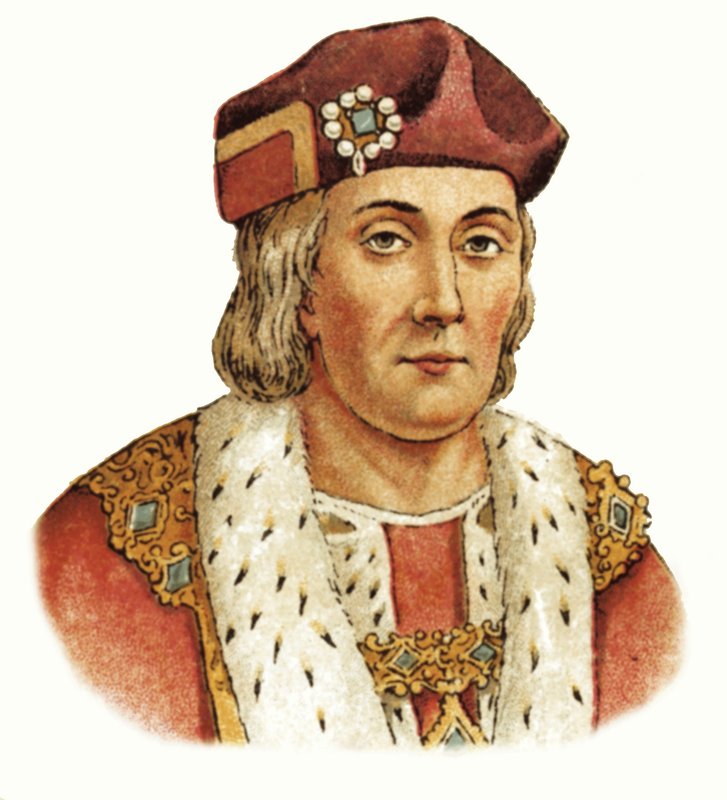 Kral Henry VII by English School