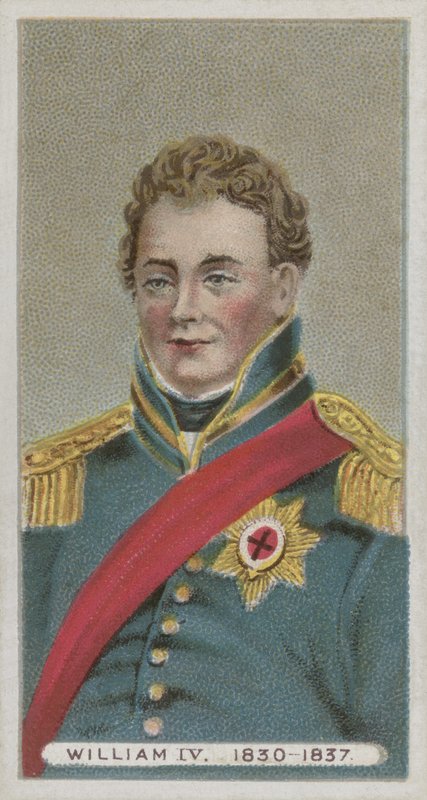 Kral IV. William by English School