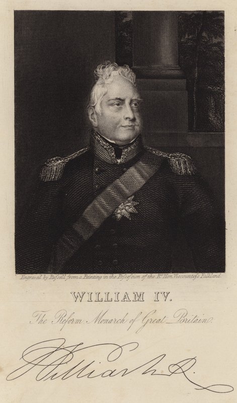 Kral IV. William by English School