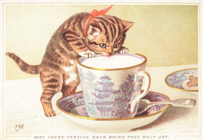 Çay bardağından içen kedi yavrusu, Noel Kartı by English School