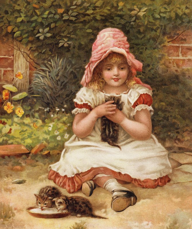 Kittie Açgözlü olmamalı (renkli taş) by English School