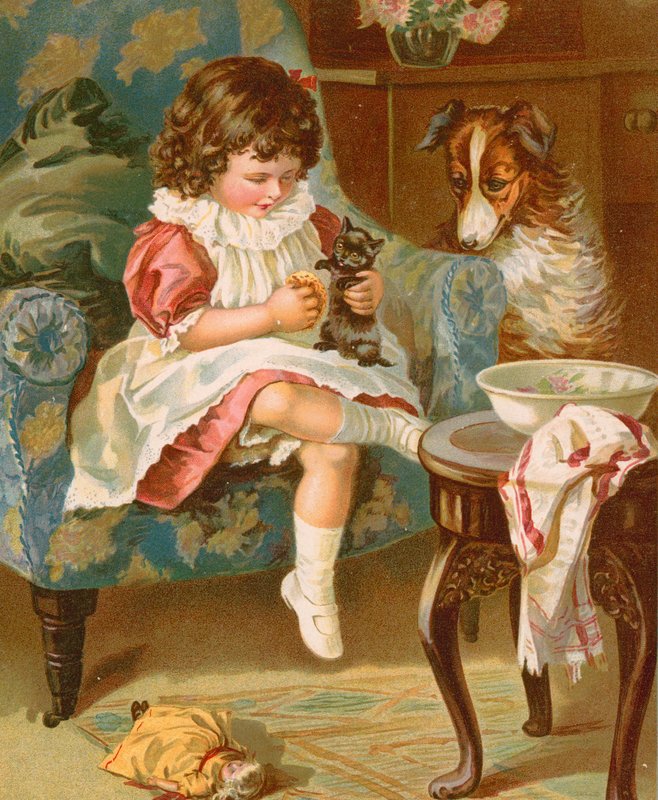 kedi tuvaleti by English School