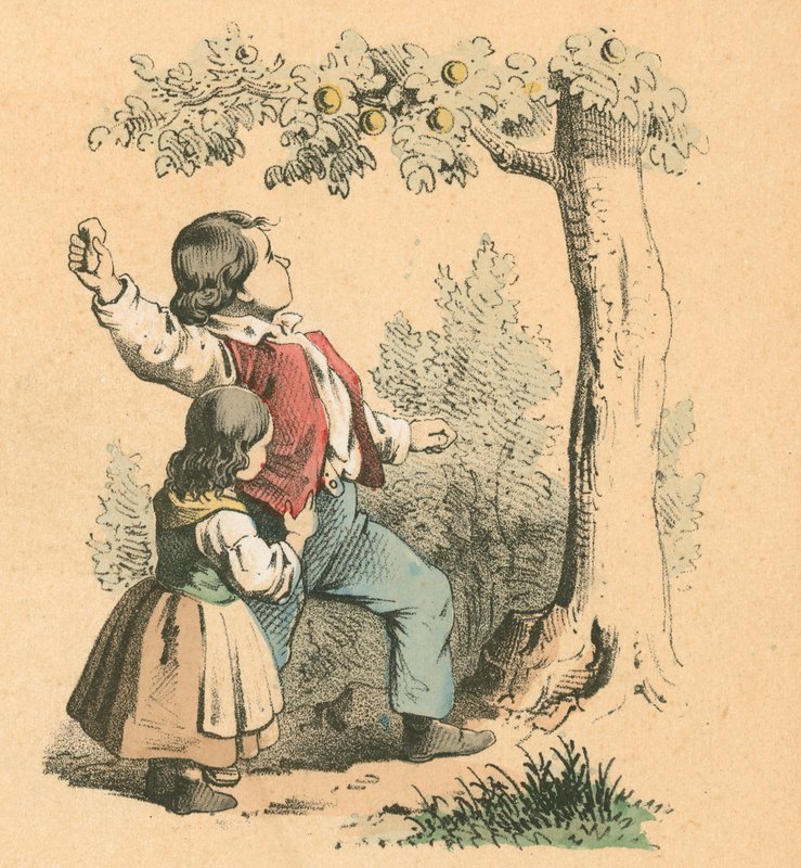 Meyveleri devirmek by English School
