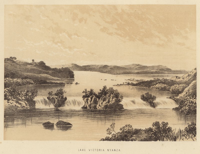 Victoria Nyanza Gölü by English School