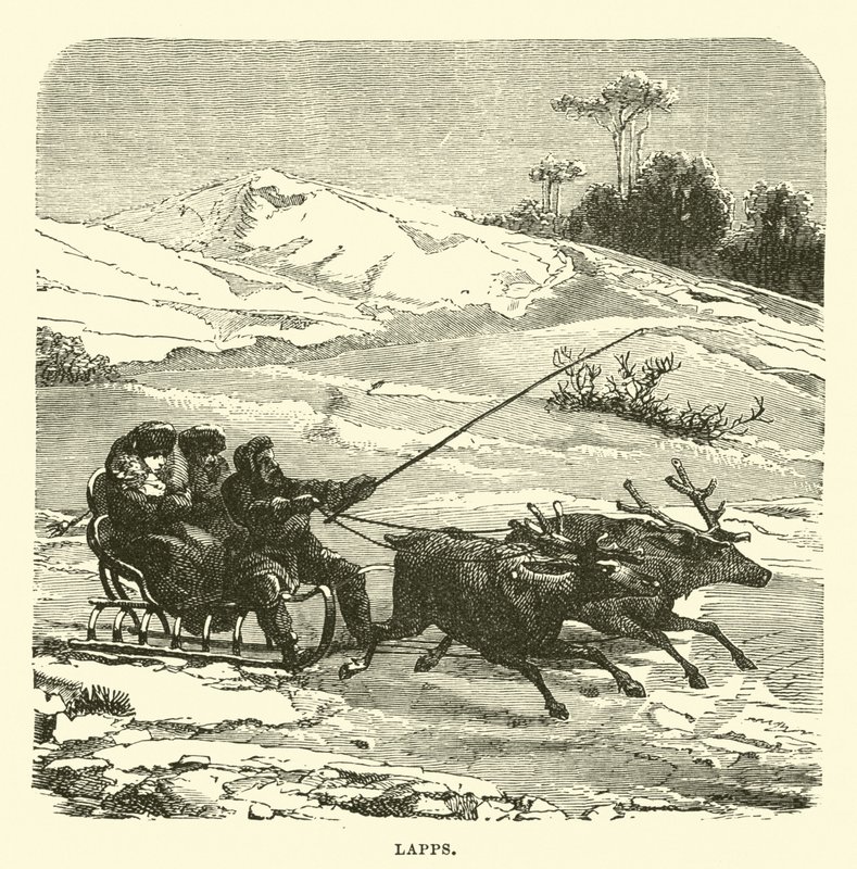 turlar by English School