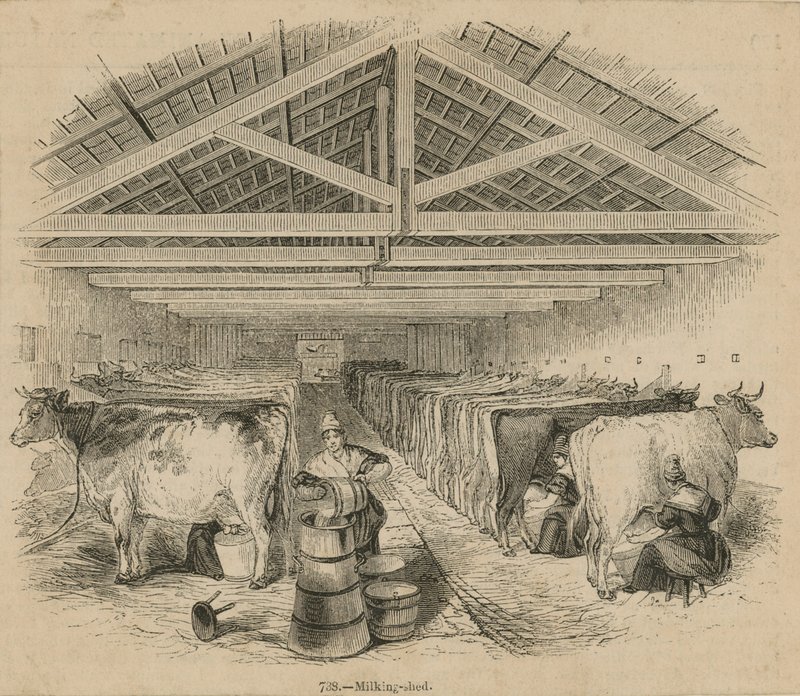 Temmuz 1841 tarihli Laycocks Süt Çiftliği by English School