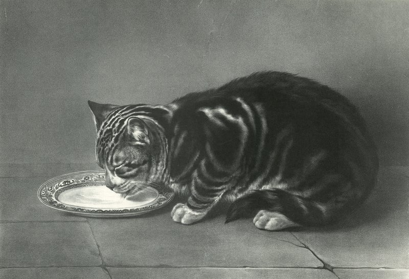 Le Gourmand, Obur by English School