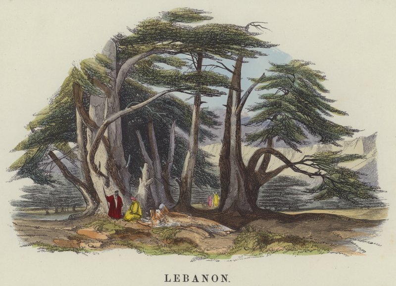 Lübnan (renkli gravür) by English School