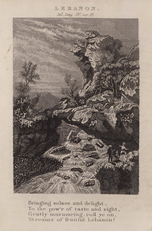 Lübnan, Solomon Song IV, ver 15 (gravür) by English School