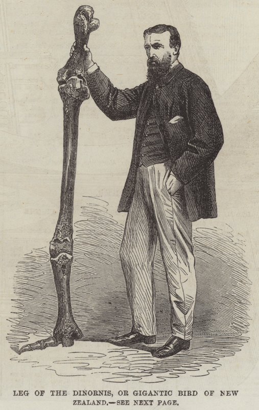 Henri Vicdan, "Belçikalı Walter Scott" (gravür) by English School