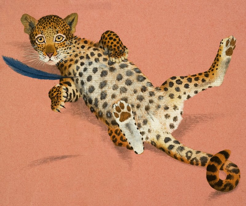 leopar yavrusu by English School