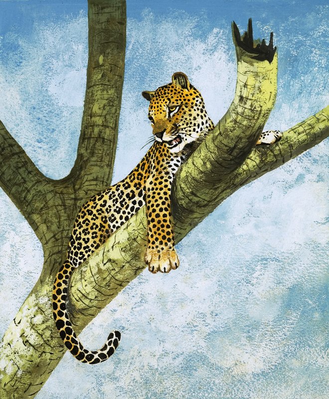 Ağaçta Leopar (kağıt üzerine guaj) by English School