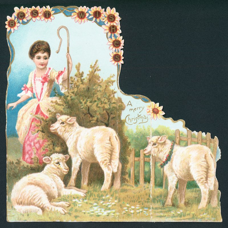 Küçük Bo Peep, Noel Kartı by English School