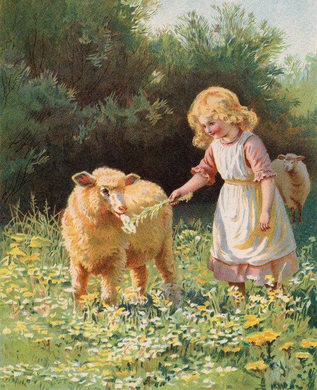 Çayırda bir koyuna çiçek besleyen küçük kız (chromolitho) by English School
