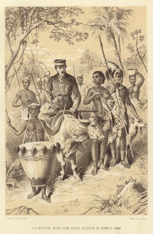 Ateşten zayıf düşen Livingstone, Shintes Kasabasına kadar eşlik etti by English School