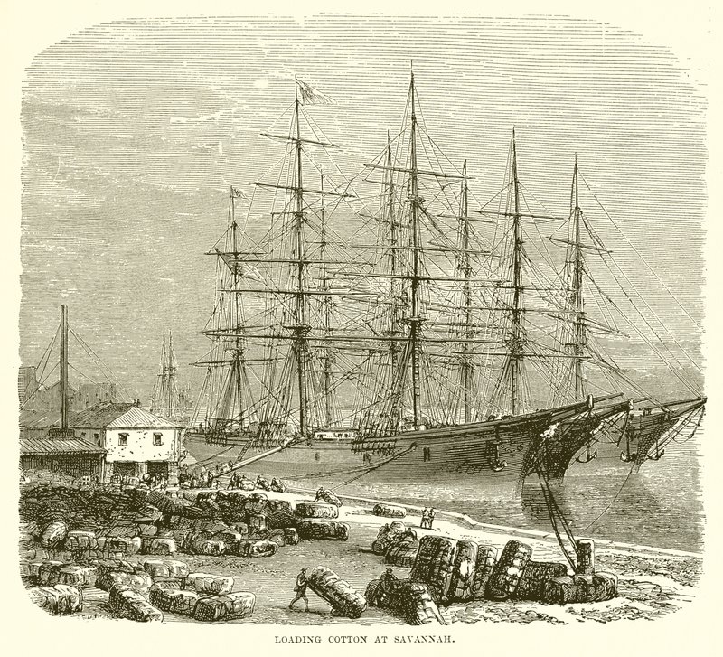 Savannah