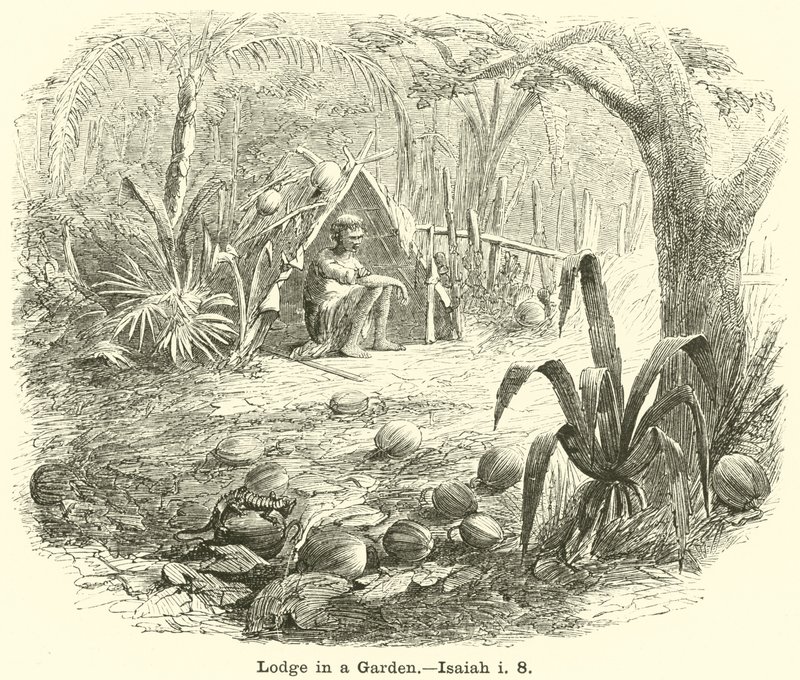 Bir Bahçede Orman Evi, İşaya, i, 8 by English School