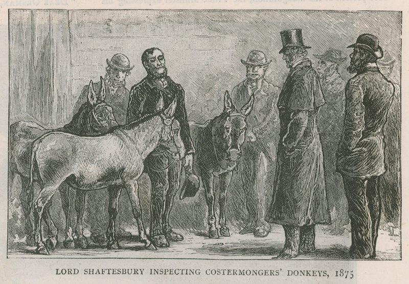 Lord Shaftesbury, mal ticareti yapan eşekleri teftiş ediyor by English School
