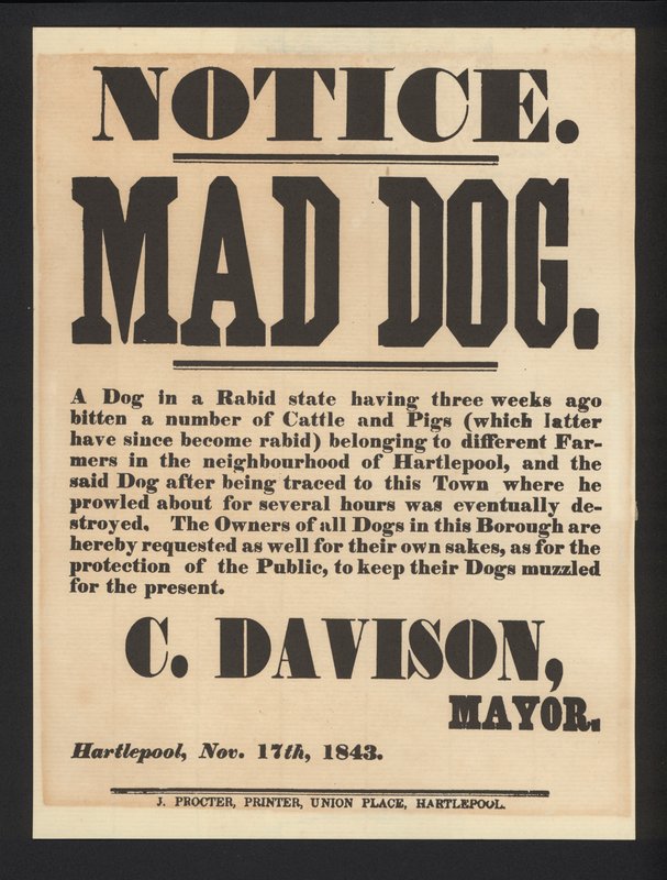 Deli köpek bildirimi, Hartlepool, 1843 by English School
