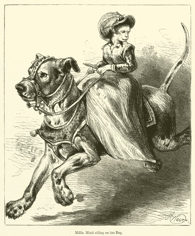 Minik Matmazel Köpeğine Biniyor (gravür) by English School
