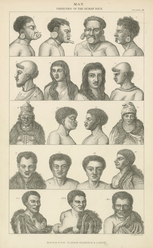 Erkek adam. İnsan ırkının çeşitleri (gravür) by English School